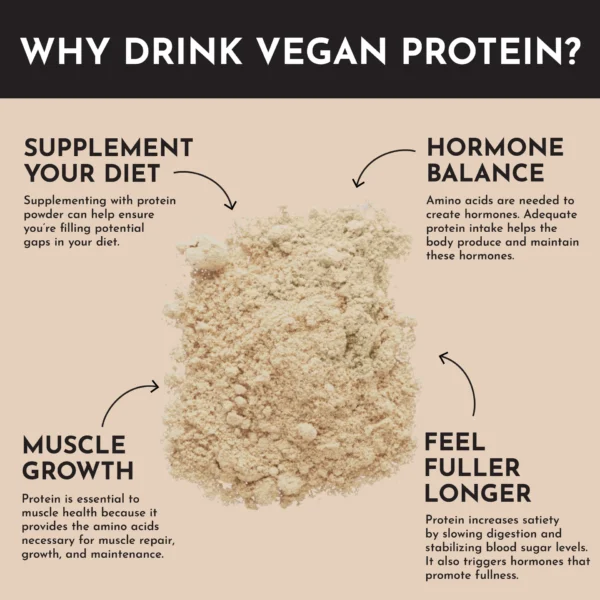 Vegan Snickerdoodle Protein Powder - Image 2